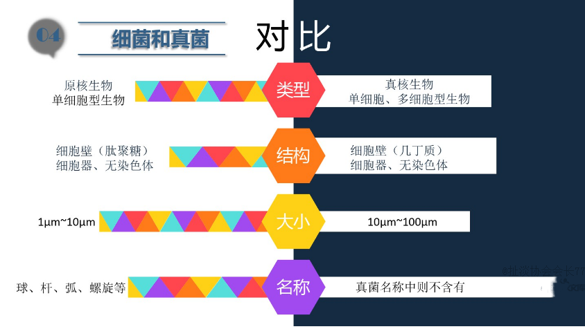 食品潔淨車間,環境黴（méi）菌來源,黴菌控製（zhì）措施，滁州無塵淨化（huà）車間