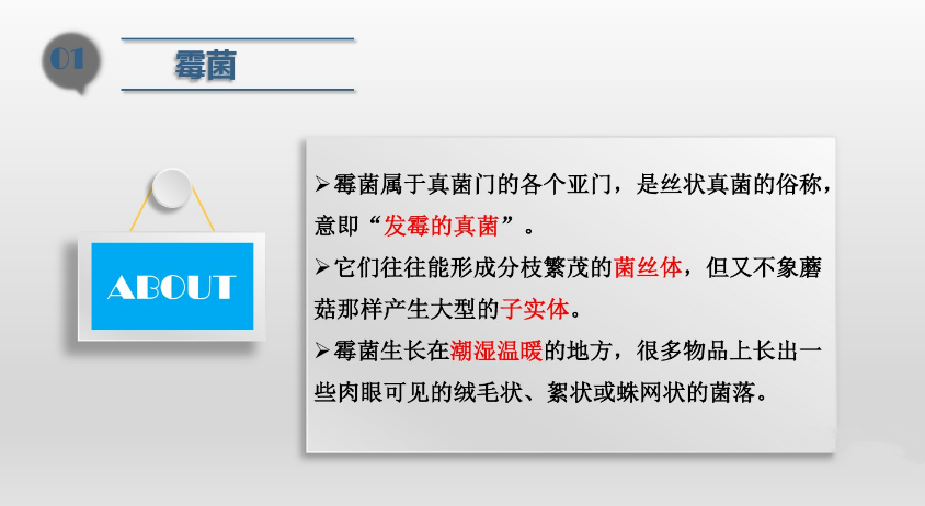 食品潔淨車間,環境黴菌來源,黴菌控製措施（shī），滁州無塵淨化（huà）車間