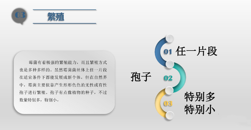 食（shí）品潔（jié）淨車間,環境黴菌來源,黴菌控製（zhì）措施，滁州（zhōu）無塵淨化車間（jiān）